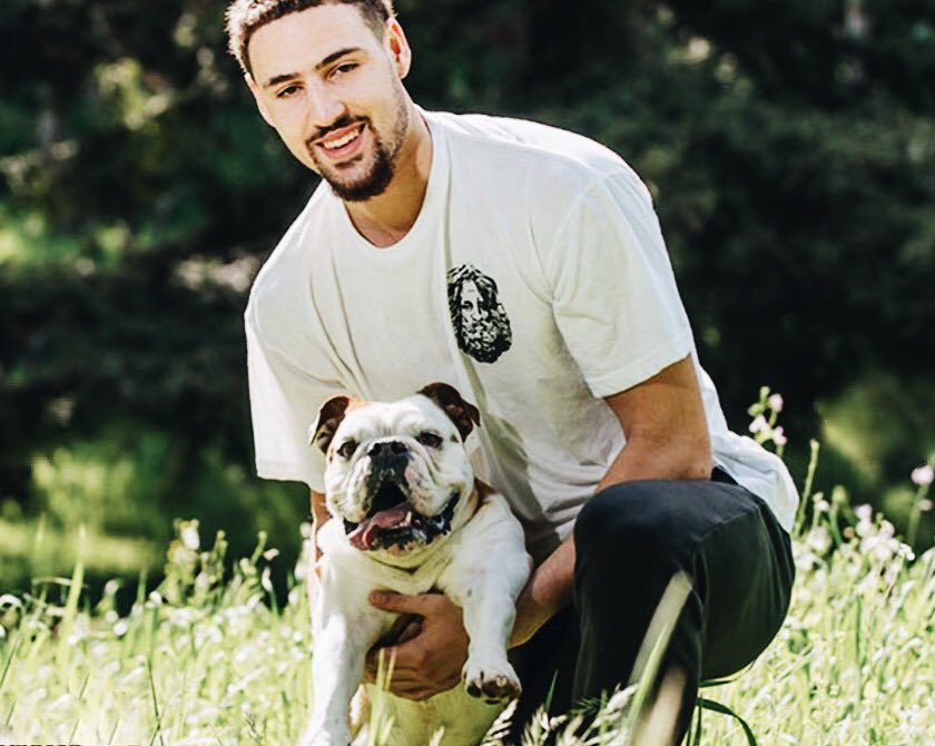 训练建议可 训练建议可